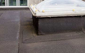 disadvantages of Welbury flat roofs