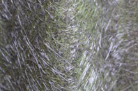 Welbury fibreglass roof work